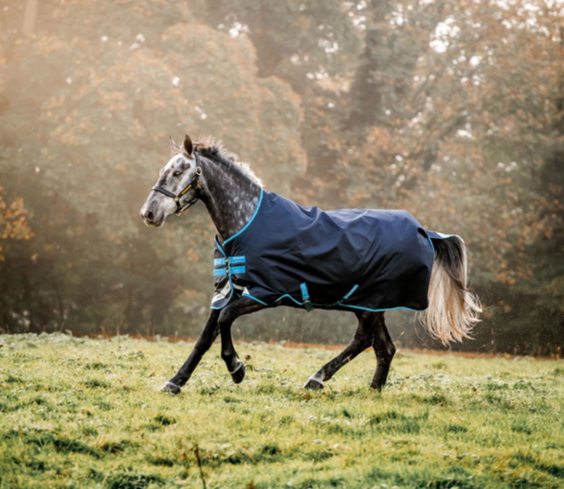 Horseware Amigo Bravo 12 XL Original Med 250g